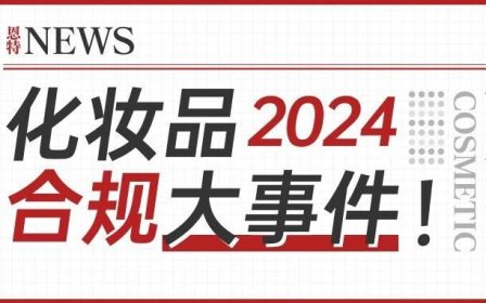 2024总结封面